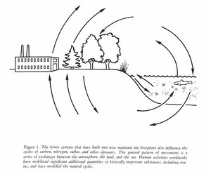 Figure from the Ecosystems Center Annual Report 1979