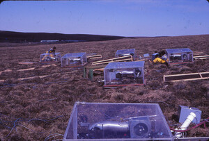 Walt Oechel's early system for controlling CO2/temperature/water/light in field cuvettes, on the hillside below our fertilizer plots