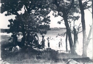 Black and white photo of people resting in the shade and on the beach in Tarpaulin Cove, on Naushon Island